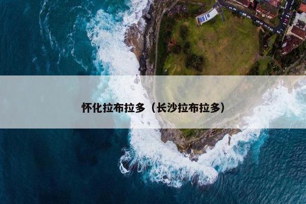 怀化拉布拉多（长沙拉布拉多）
