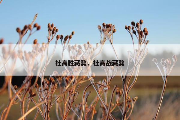 杜高胜藏獒，杜高战藏獒