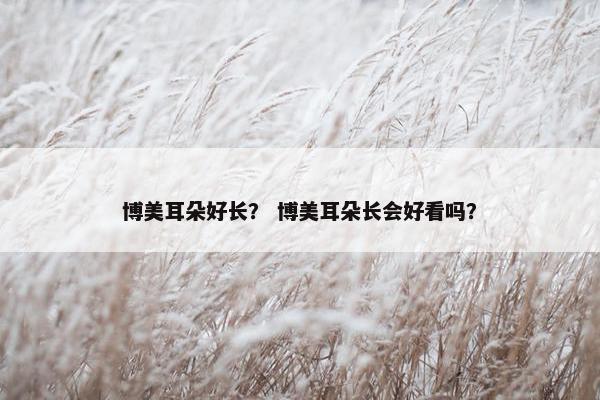博美耳朵好长？ 博美耳朵长会好看吗？