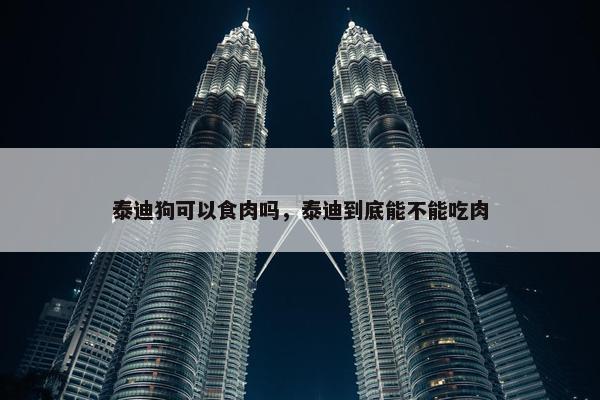 泰迪狗可以食肉吗，泰迪到底能不能吃肉
