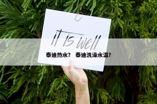 泰迪热水？ 泰迪洗澡水温？