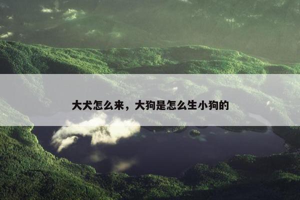 大犬怎么来，大狗是怎么生小狗的