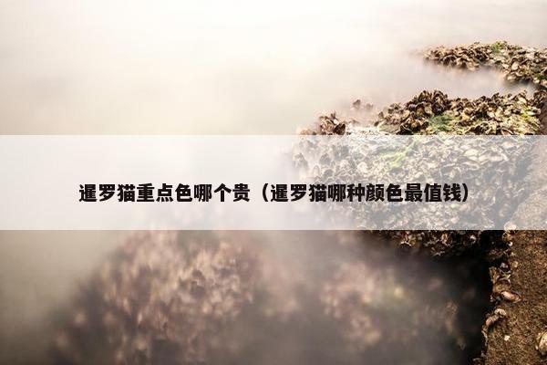 暹罗猫重点色哪个贵（暹罗猫哪种颜色最值钱）