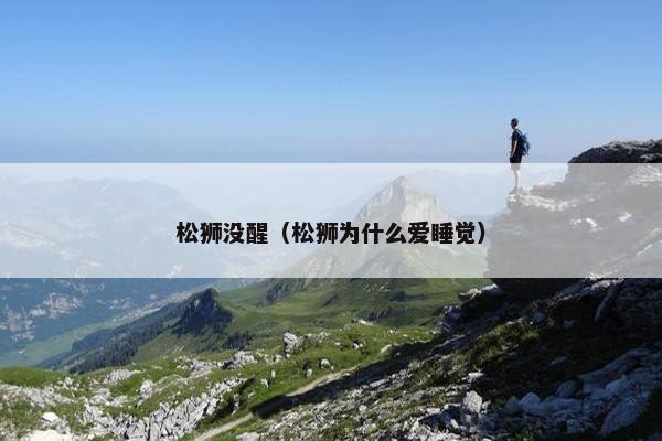 松狮没醒（松狮为什么爱睡觉）