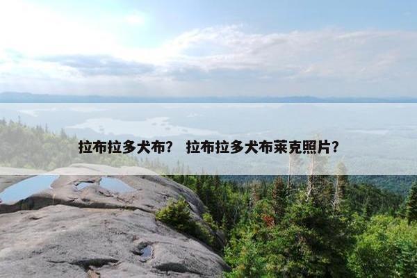拉布拉多犬布？ 拉布拉多犬布莱克照片？