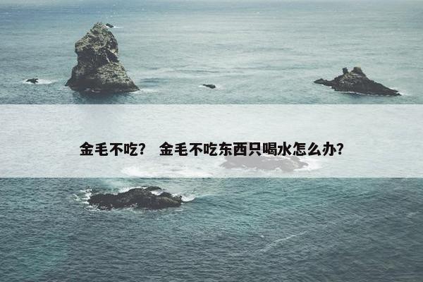 金毛不吃？ 金毛不吃东西只喝水怎么办？
