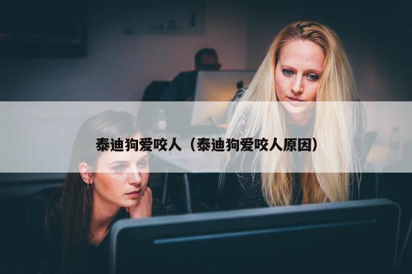 泰迪狗爱咬人（泰迪狗爱咬人原因）