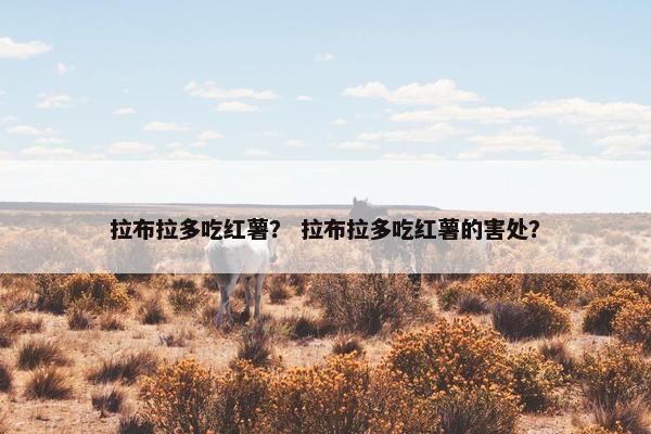 拉布拉多吃红薯？ 拉布拉多吃红薯的害处？