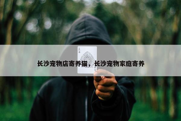 长沙宠物店寄养猫，长沙宠物家庭寄养