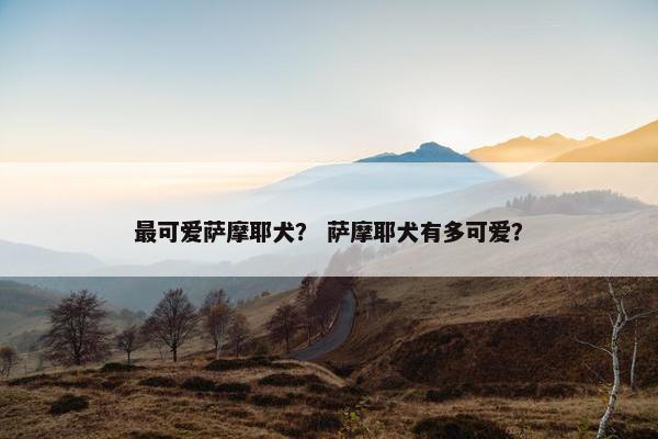最可爱萨摩耶犬？ 萨摩耶犬有多可爱？
