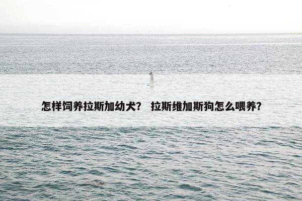 怎样饲养拉斯加幼犬？ 拉斯维加斯狗怎么喂养？