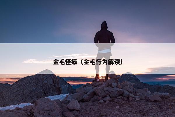 金毛怪癖（金毛行为解读）