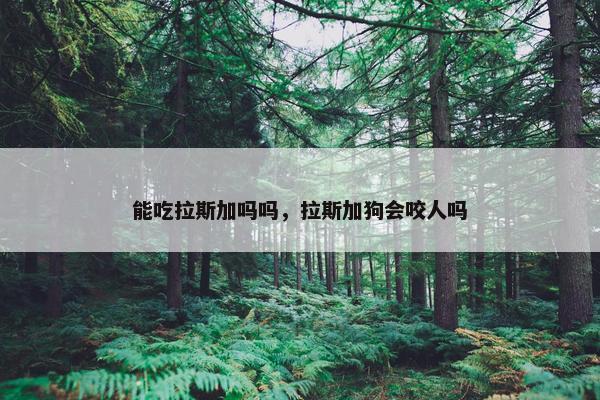 能吃拉斯加吗吗，拉斯加狗会咬人吗