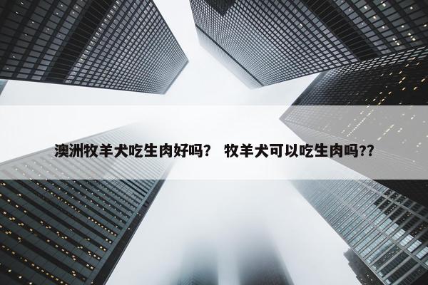 澳洲牧羊犬吃生肉好吗？ 牧羊犬可以吃生肉吗?？