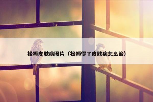 松狮皮肤病图片（松狮得了皮肤病怎么治）