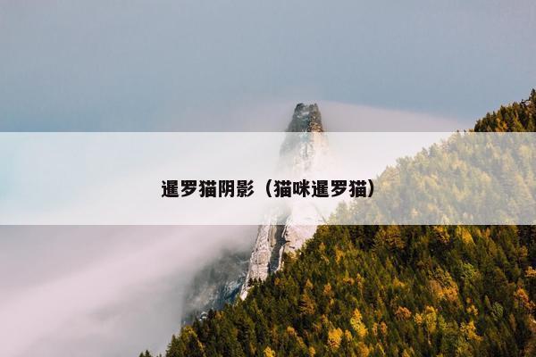 暹罗猫阴影（猫咪暹罗猫）