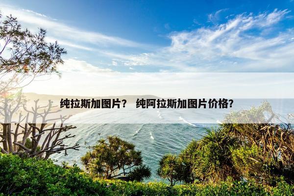 纯拉斯加图片？ 纯阿拉斯加图片价格？