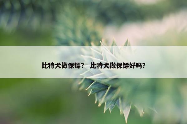 比特犬做保镖？ 比特犬做保镖好吗？