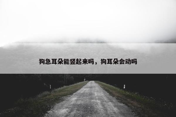 狗急耳朵能竖起来吗，狗耳朵会动吗