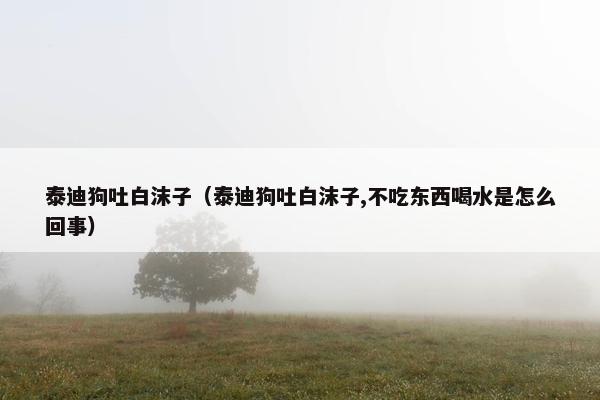泰迪狗吐白沫子（泰迪狗吐白沫子,不吃东西喝水是怎么回事）