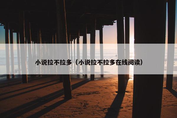 小说拉不拉多（小说拉不拉多在线阅读）