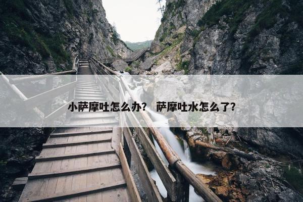 小萨摩吐怎么办？ 萨摩吐水怎么了？
