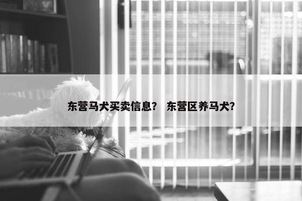 东营马犬买卖信息？ 东营区养马犬？