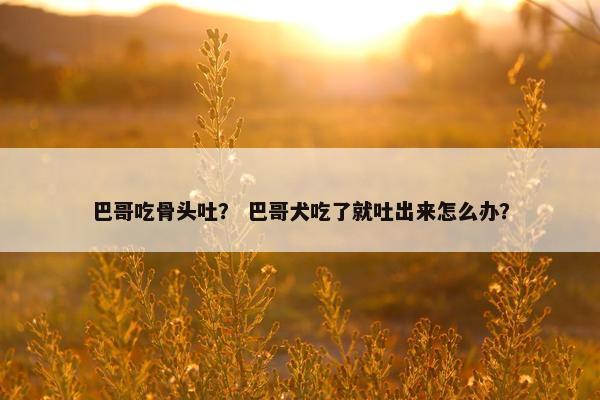 巴哥吃骨头吐？ 巴哥犬吃了就吐出来怎么办？