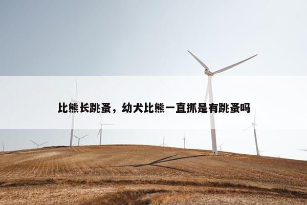 比熊长跳蚤，幼犬比熊一直抓是有跳蚤吗