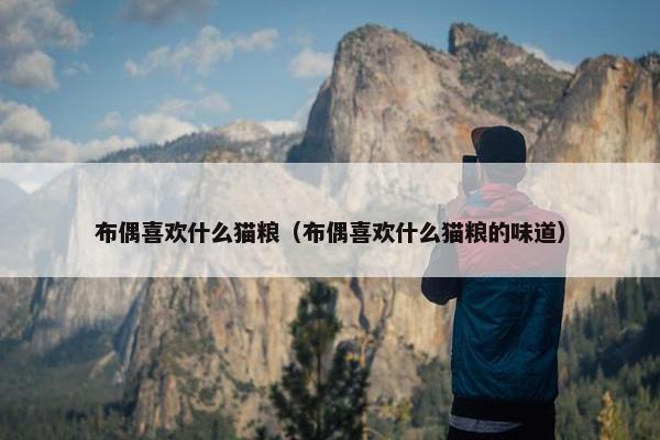 布偶喜欢什么猫粮（布偶喜欢什么猫粮的味道）