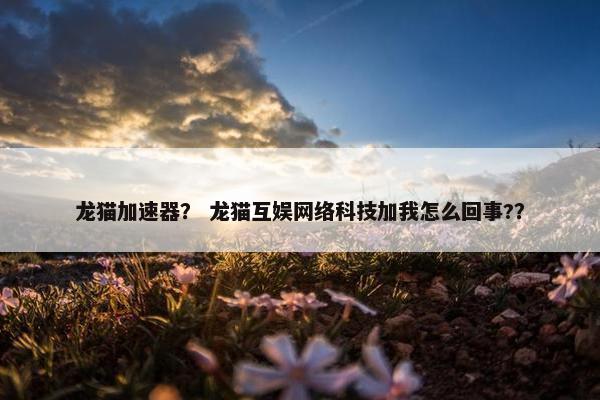 龙猫加速器？ 龙猫互娱网络科技加我怎么回事?？
