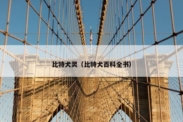 比特犬灵（比特犬百科全书）
