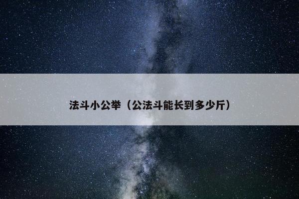 法斗小公举（公法斗能长到多少斤）