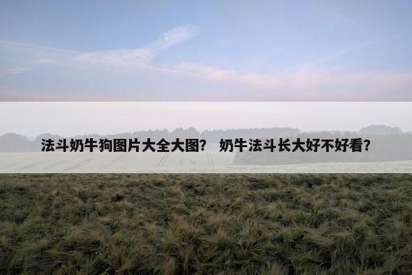 法斗奶牛狗图片大全大图？ 奶牛法斗长大好不好看？