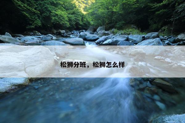 松狮分班，松狮怎么样