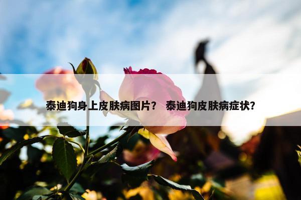 泰迪狗身上皮肤病图片？ 泰迪狗皮肤病症状？