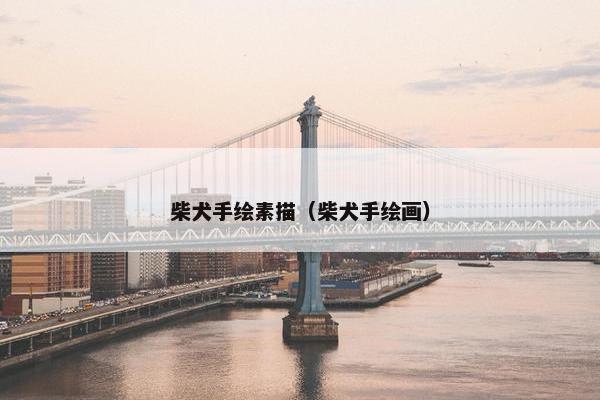 柴犬手绘素描（柴犬手绘画）