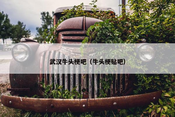 武汉牛头梗吧（牛头梗贴吧）