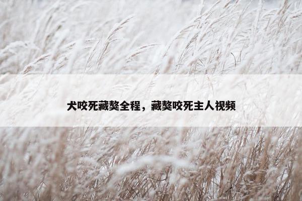 犬咬死藏獒全程，藏獒咬死主人视频