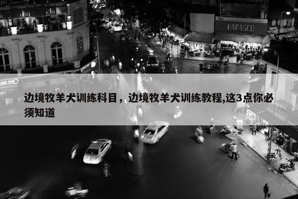 边境牧羊犬训练科目，边境牧羊犬训练教程,这3点你必须知道