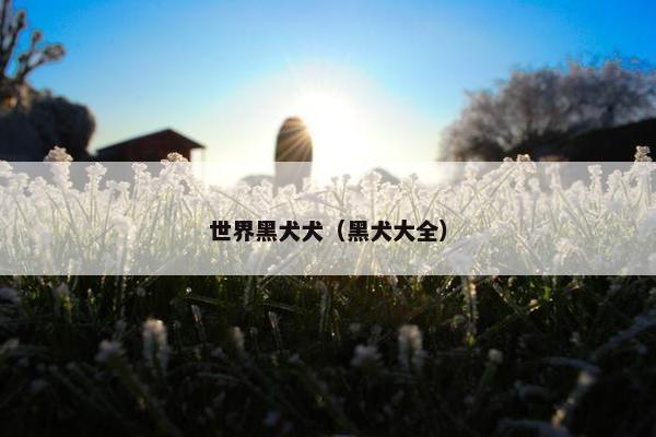 世界黑犬犬（黑犬大全）