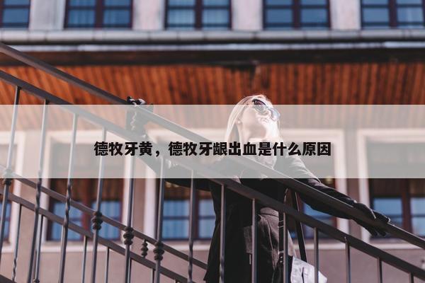 德牧牙黄，德牧牙龈出血是什么原因