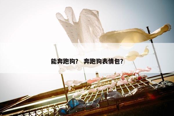 能奔跑狗？ 奔跑狗表情包？