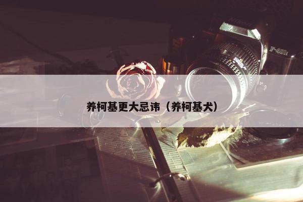 养柯基更大忌讳（养柯基犬）