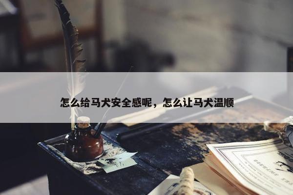 怎么给马犬安全感呢，怎么让马犬温顺