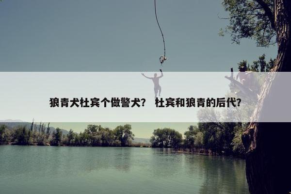 狼青犬杜宾个做警犬？ 杜宾和狼青的后代？