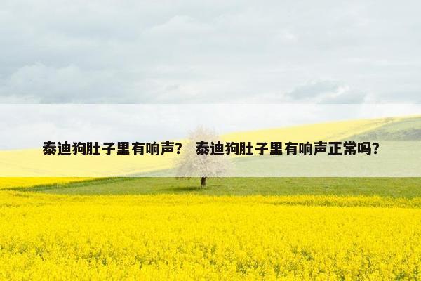 泰迪狗肚子里有响声？ 泰迪狗肚子里有响声正常吗？