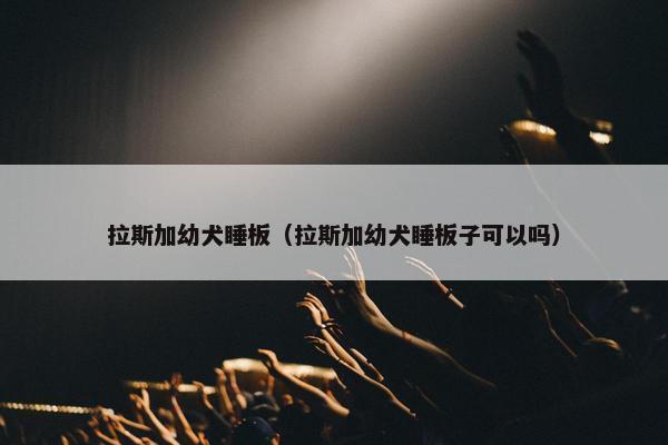 拉斯加幼犬睡板（拉斯加幼犬睡板子可以吗）