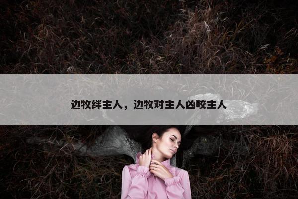 边牧绊主人，边牧对主人凶咬主人