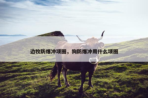 边牧防爆冲项圈，狗防爆冲用什么项圈